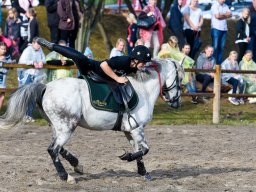 _DSC8190_web